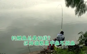 Download Video: 钓鲤鱼总切线跑鱼，不可忽略的小细节，注意好不跑鱼中鱼率还高！