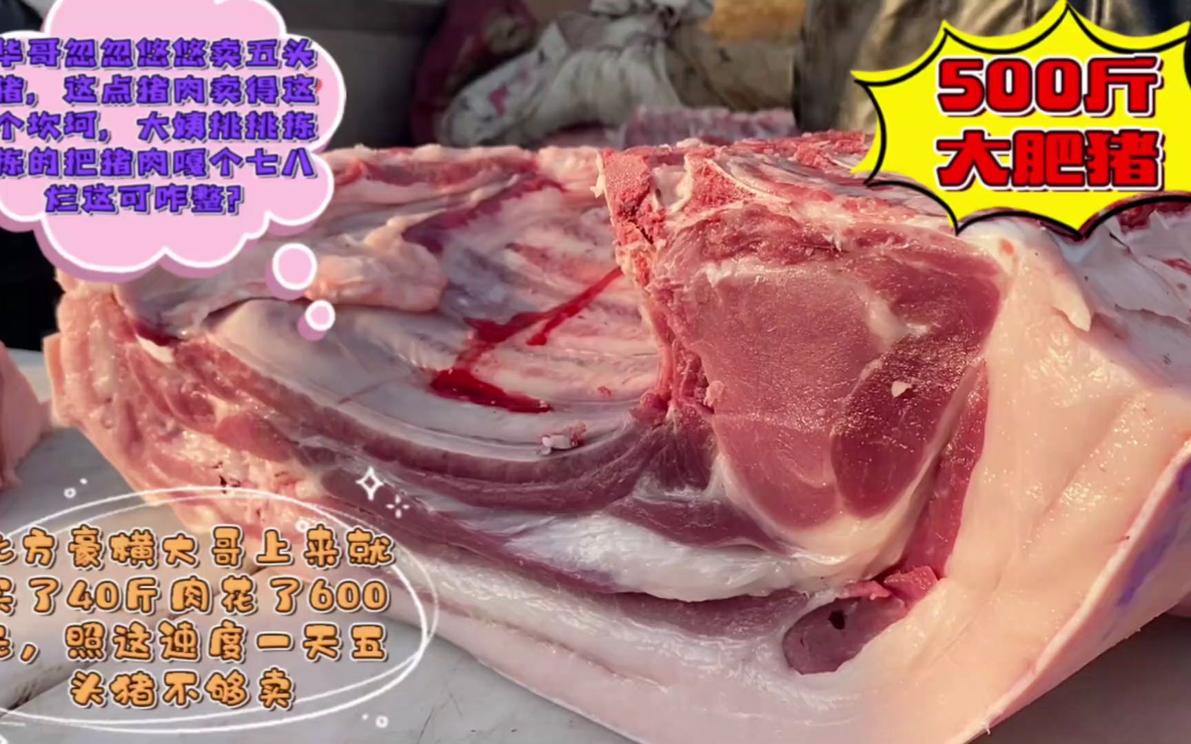 40斤猪肉实拍图片