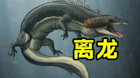 龙爪洪荒的动态-哔哩哔哩