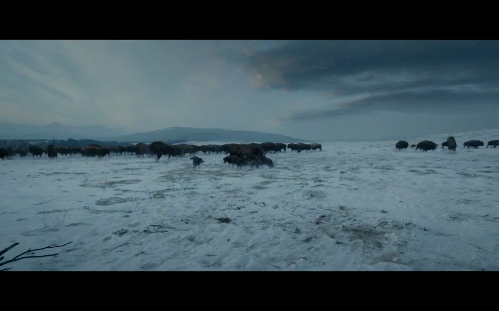 [图]荒野猎人 电影中最惊美动人的画面与坂本龙一的BGM The Beauty Of The Revenant