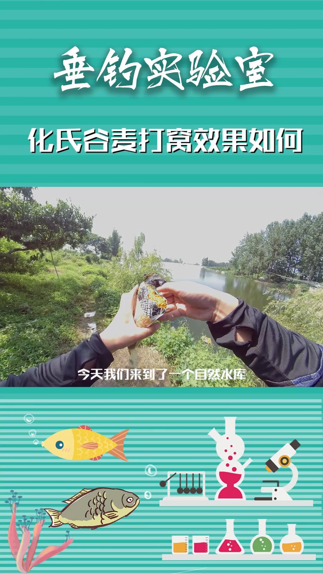 谷麦钓鲤鱼效果真的那么好吗?水下拍摄实测!!哔哩哔哩bilibili