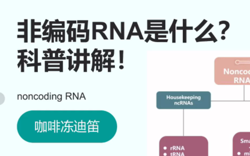 管家型非编码RNA是什么?科普讲解!【医学科研】哔哩哔哩bilibili