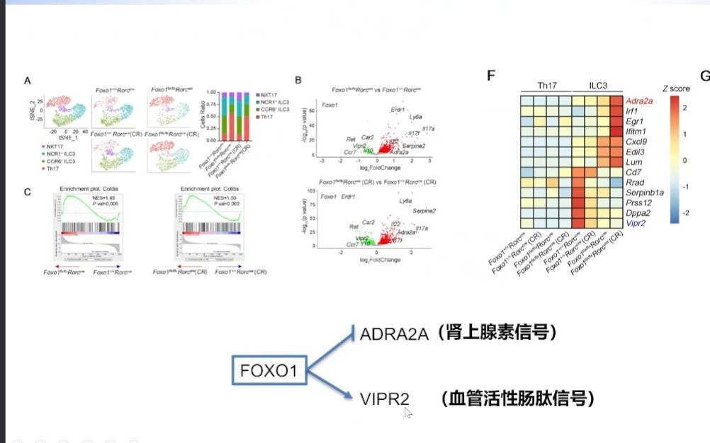 20230923中国科学院王硕浅谈黏膜免疫:从基础到应用哔哩哔哩bilibili