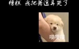 Скачать видео: 糟糕！我把萧逸弄哭了（萧先生的哭腔合集 耳机党请注意音量预警