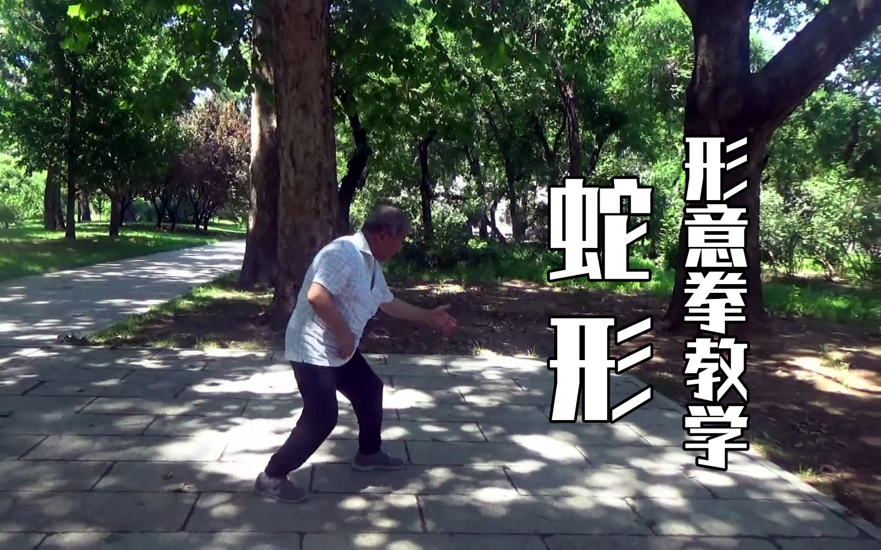 孙氏形意拳教学蛇形自得园拳社孙伟老师演示