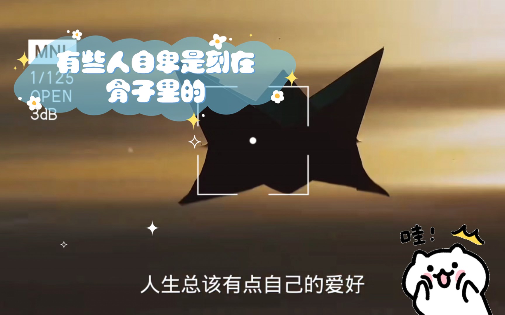 人生总该有点自己的爱好,这才有点乐趣.生活如毫无乐趣,不如弃之.