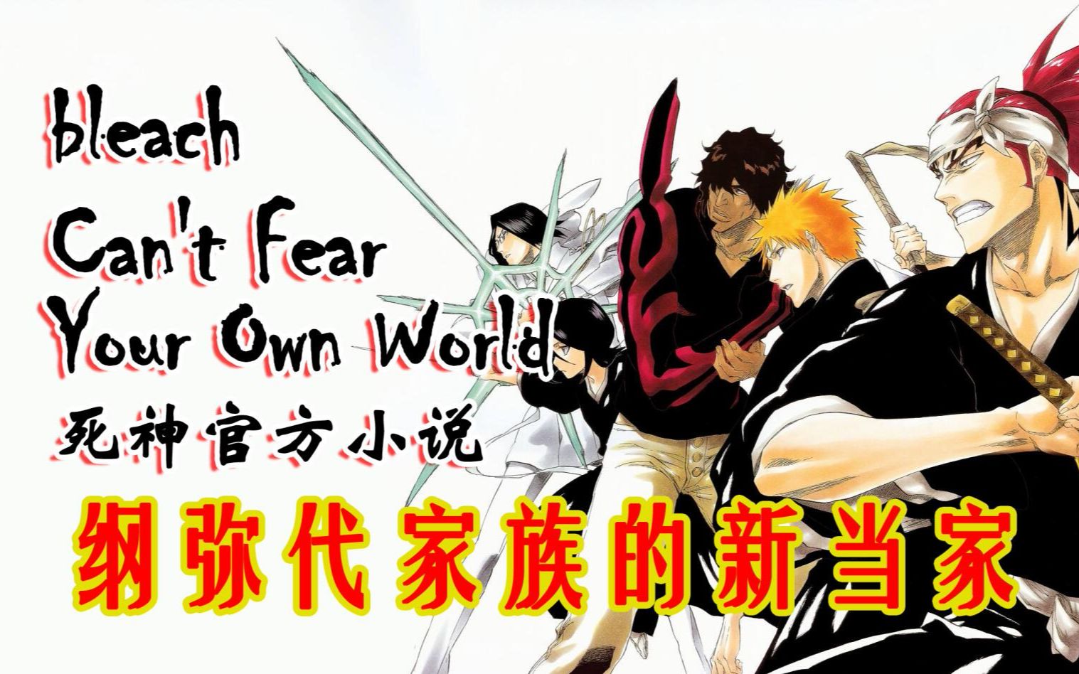 【死神官方小说】Can't Fear Your Own World 第一章(纲弥代的新当家)哔哩哔哩bilibili