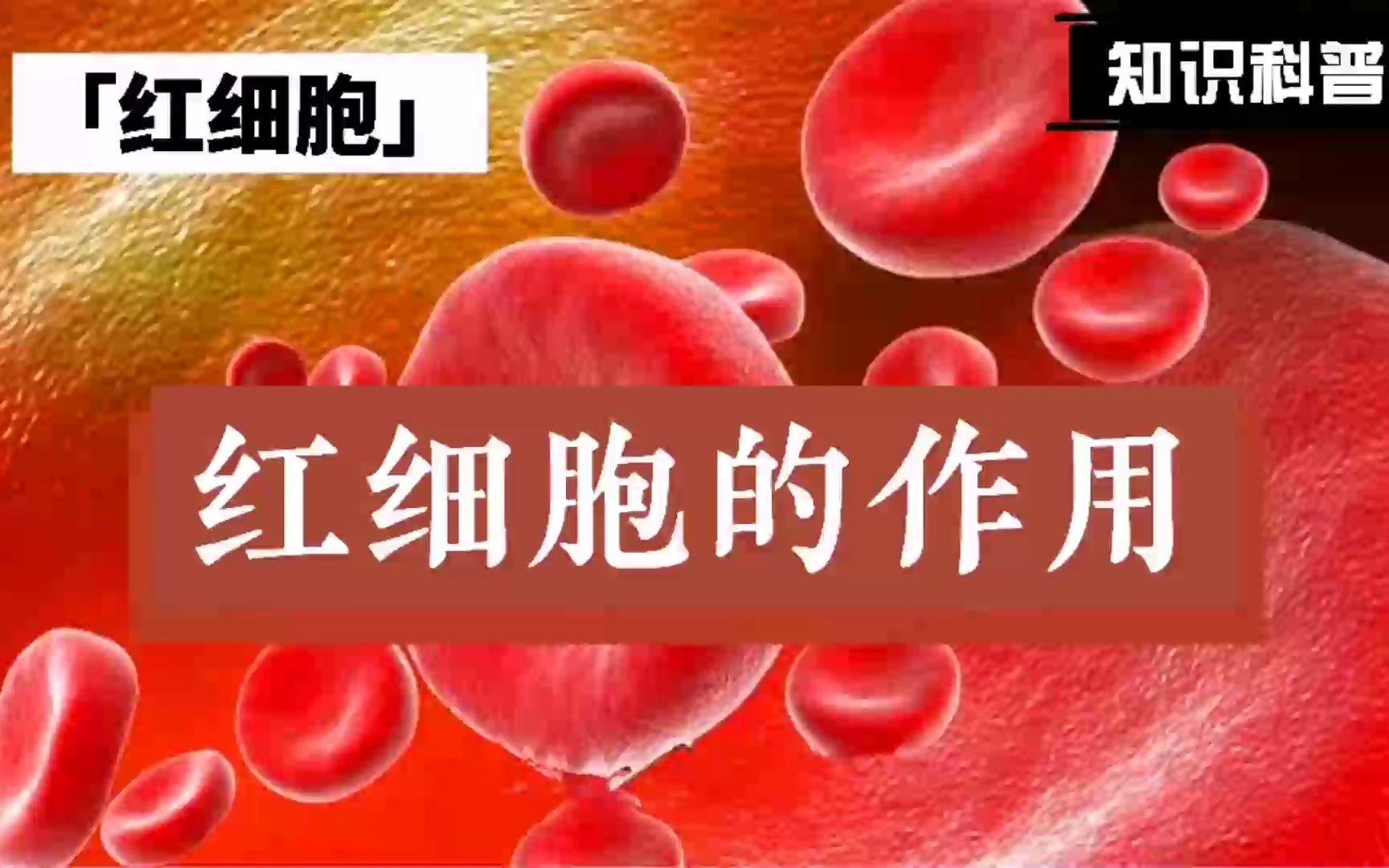 红细胞的作用