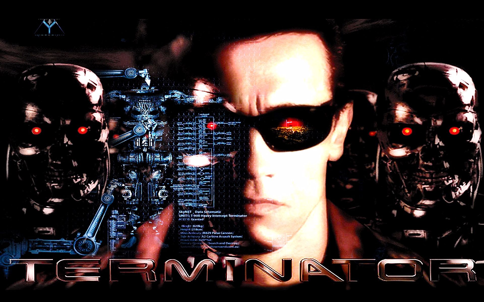 《终结者》科幻片的启蒙 跨时代的巨星 州长阿诺德施瓦辛格 无与伦比