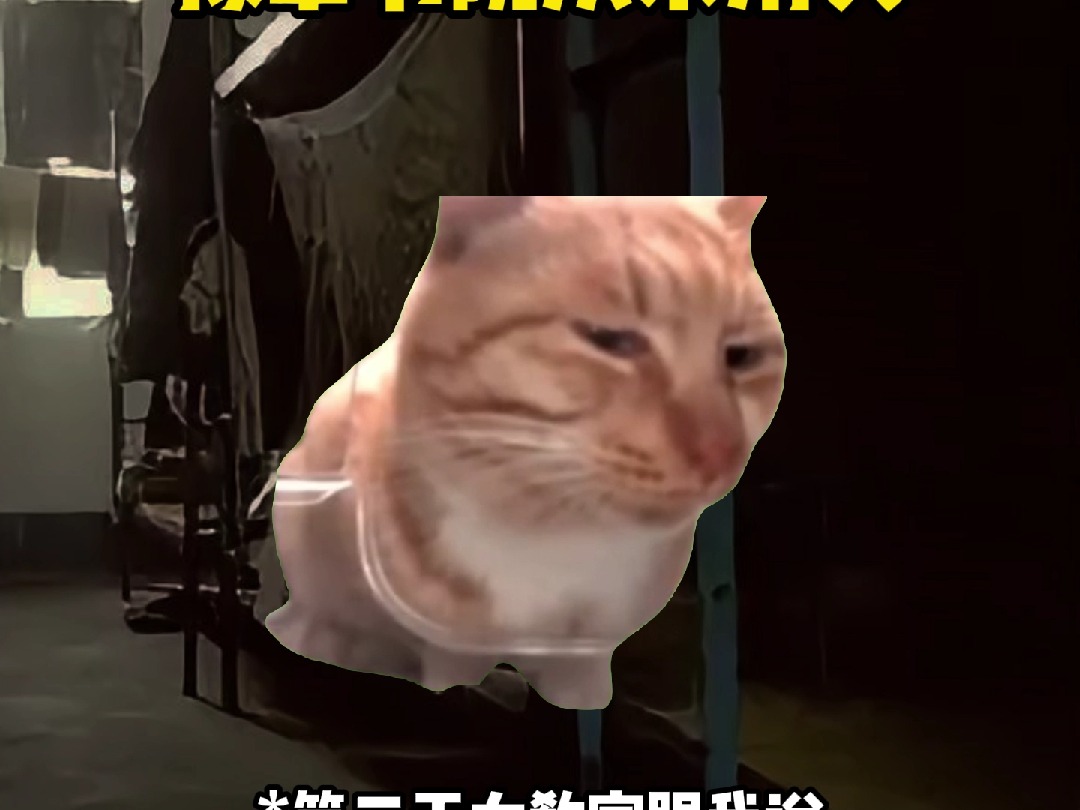 2024年了豫章书院还存在 故事源于小音符@请珍惜 #猫meme #教育 #00后 #学校 #青少年哔哩哔哩bilibili