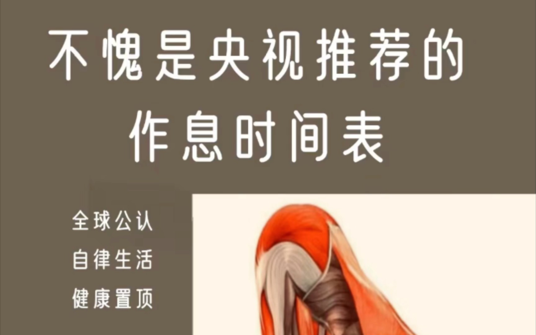 𐟔夸愧是央视力荐的作息时间表,赶紧收藏❗️哔哩哔哩bilibili