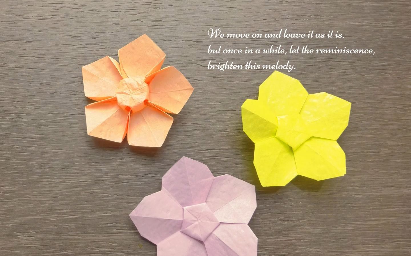 五瓣花折纸教程图解图片