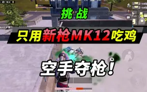 Download Video: 突击手蜜獾：挑战只用新枪MK12狙吃鸡，这手速你是否有大胆的想法？