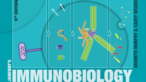 詹韦免疫生物学》（第9版）配套视频Videos of 'IMM9'_哔哩哔哩_bilibili