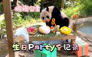 Download Video: 长隆五公主悦悦8周岁生日会全记录230809大熊猫三胞胎萌帅酷直播录屏