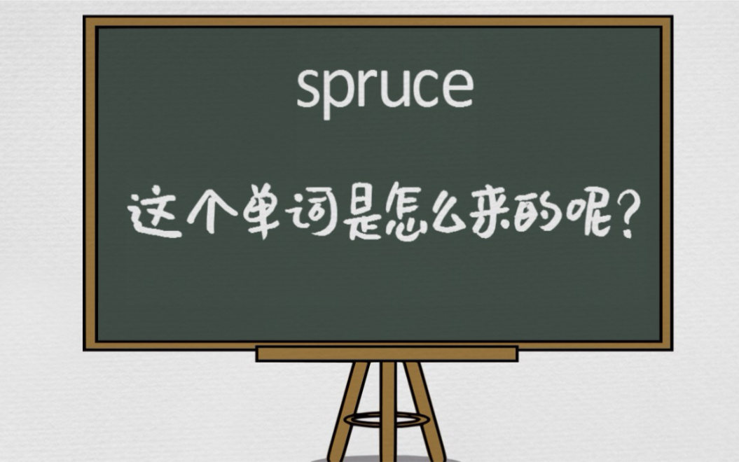 英语单词spruce是怎么来的呢?哔哩哔哩bilibili