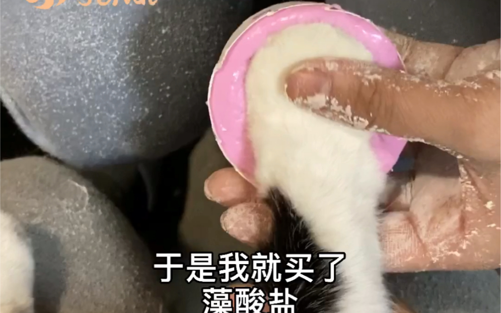 猫爪印章的初尝试哔哩哔哩bilibili