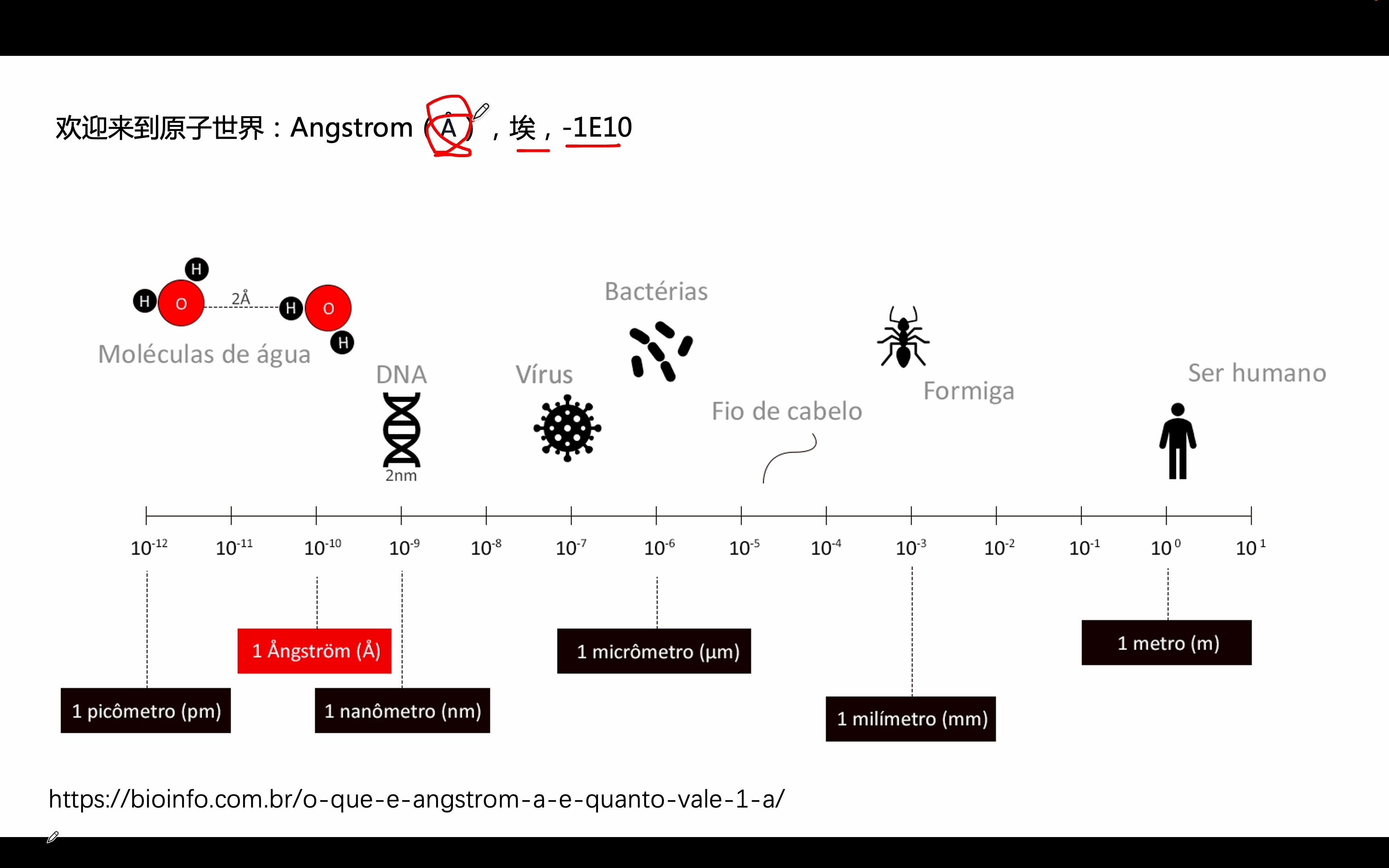 07讲. 结构解析案例篇|Antigen|01节 PD1 with PDL1【结构免疫学】哔哩哔哩bilibili