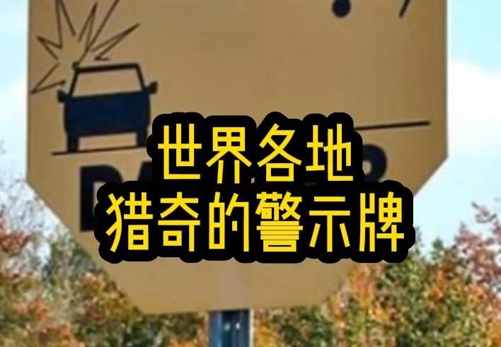 【世界各地诡异警告牌】 大千世界无奇不有哔哩哔哩bilibili