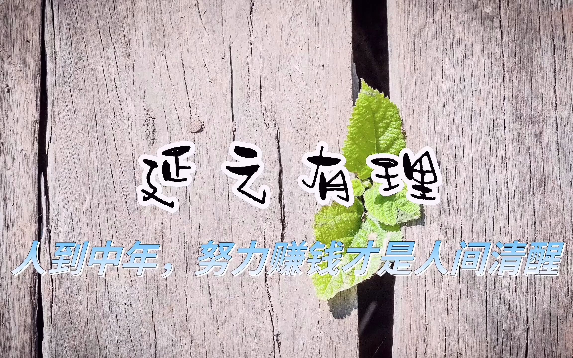 延之有理—第17集 人到中年,努力赚钱才是人间清醒