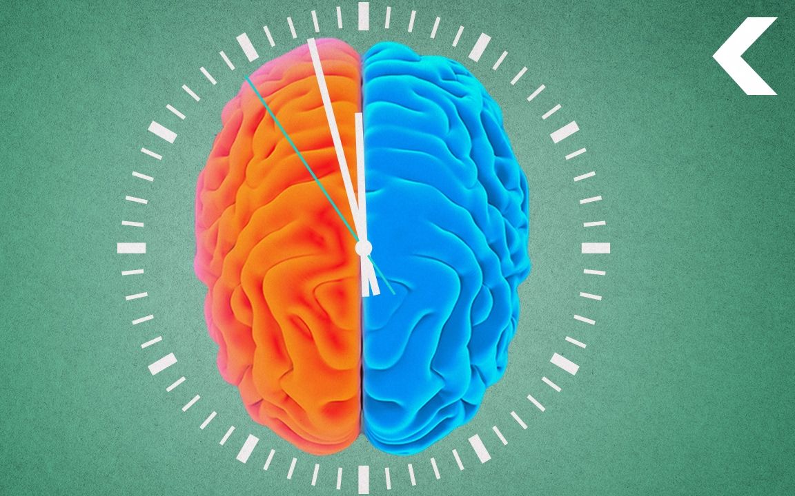 【seeker】说双语的人大脑是怎么处理时间的呢 @圆桌字幕组