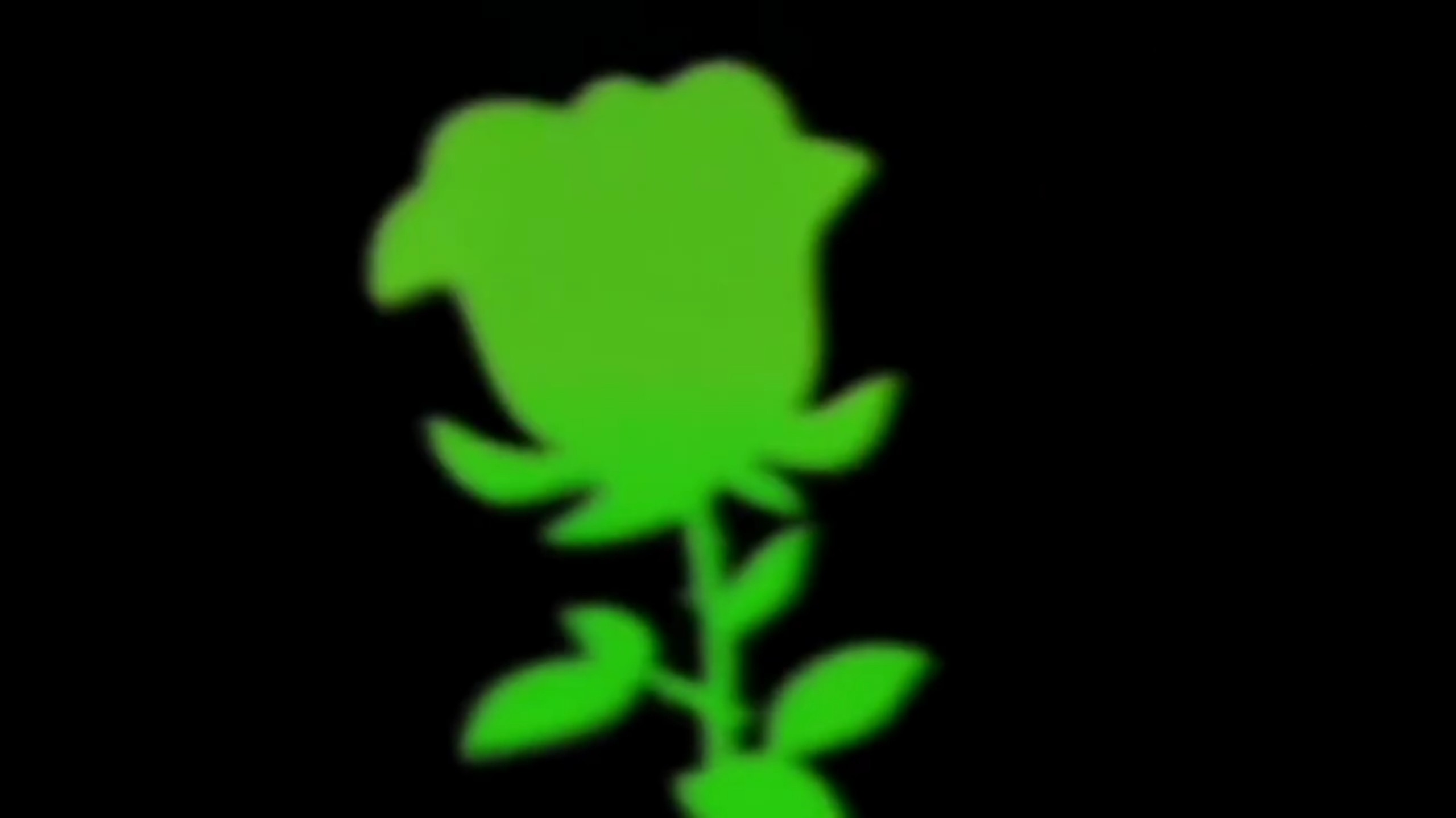 玫瑰花绿幕素材