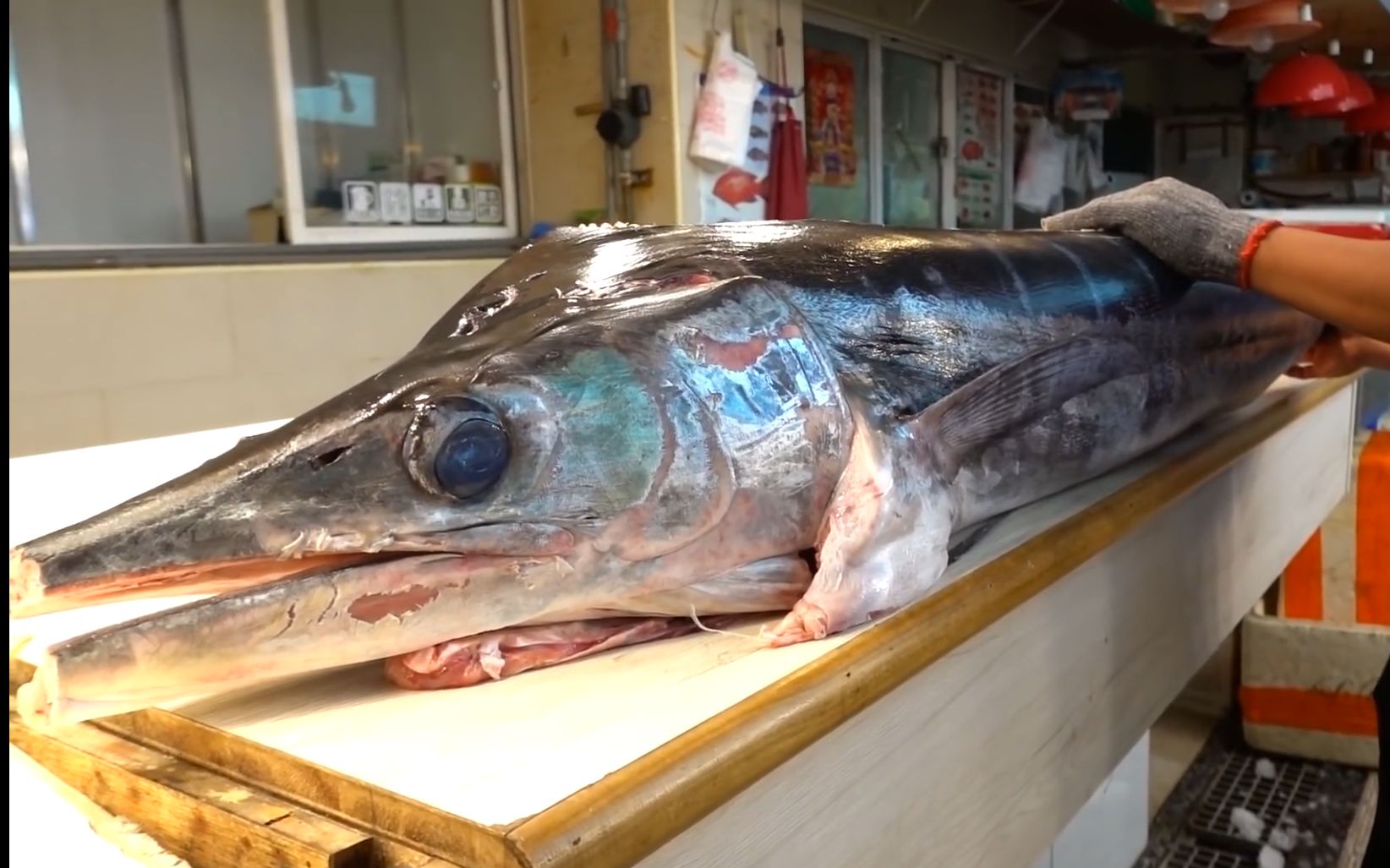 马林鱼切割技巧看厨师如何将马林鱼制作成刺身