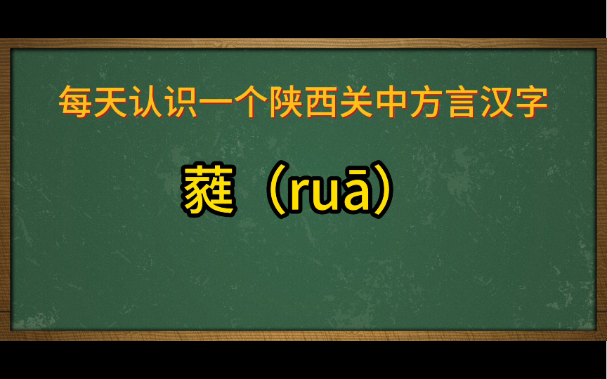 陕西关中方言汉字:蕤(ru䁩哔哩哔哩bilibili