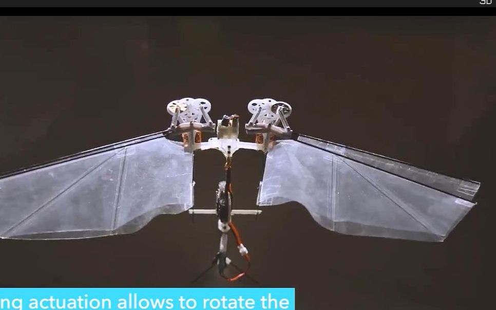 【涨姿势】曾登上《科学》杂志封面的仿果蝇扑翼机DelFly Nimble哔哩哔哩bilibili