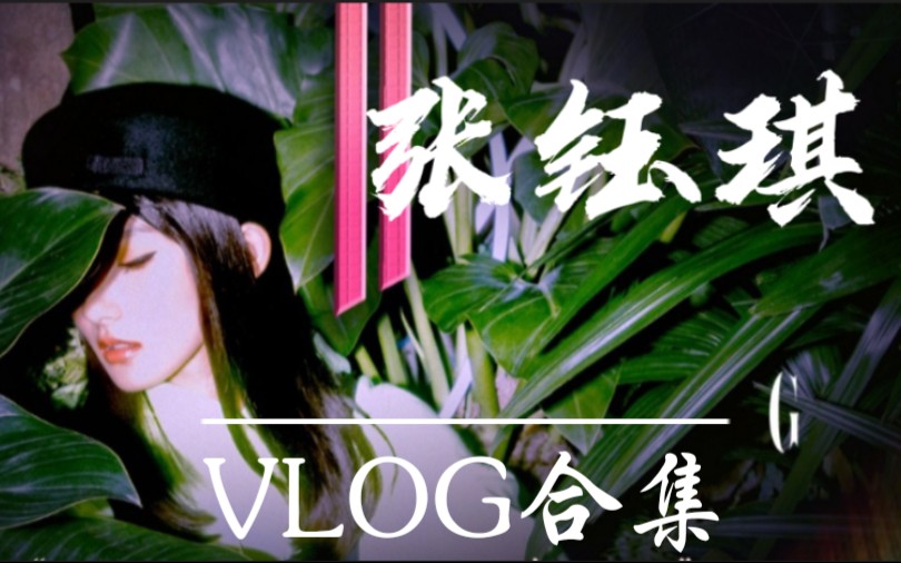 【张钰琪】VLOG持续更新.哔哩哔哩bilibili