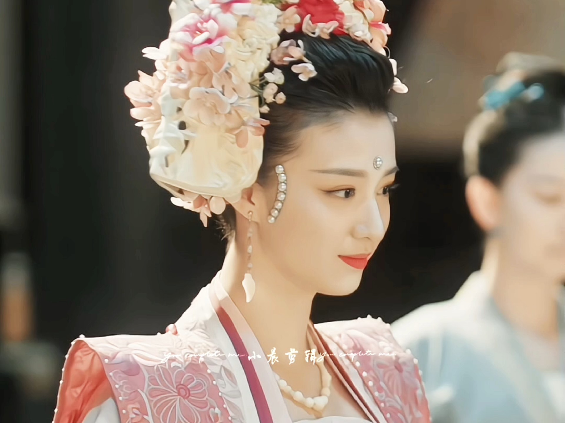 张娘子是官家心爱 宠冠后宫