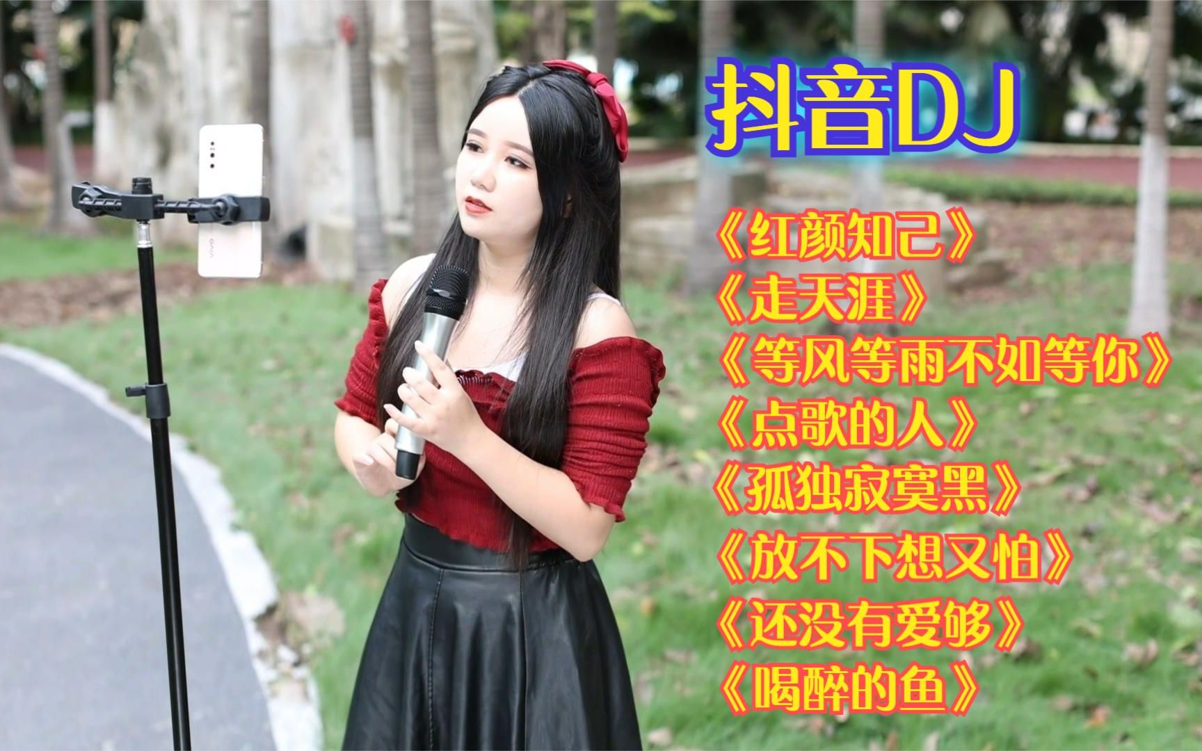 抖音dj《红颜知己》《走天涯》《等风等雨不如等你》《喝醉的鱼》