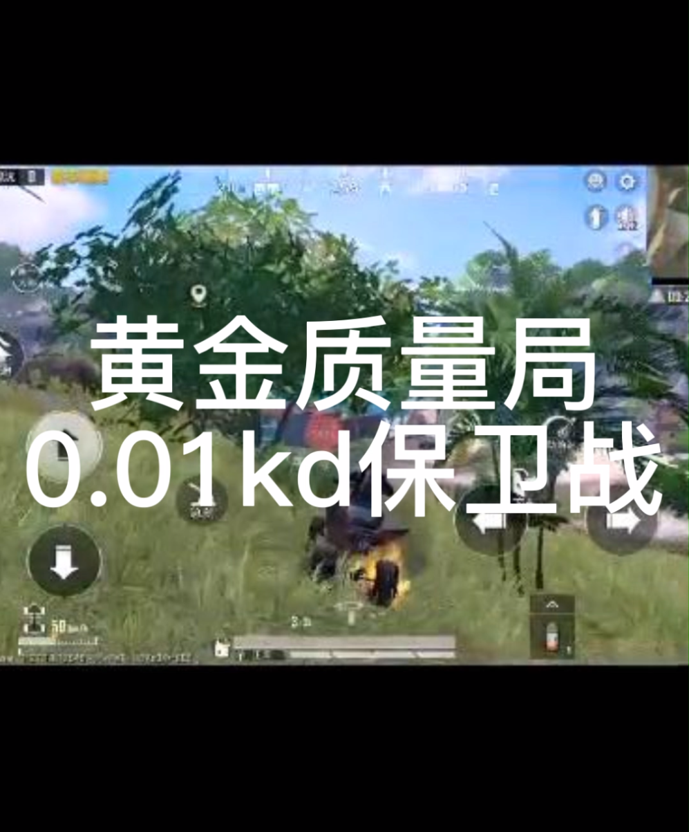 黄金质量局0.01kd保卫站和平精英