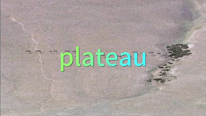 考研单词plateau哔哩哔哩bilibili