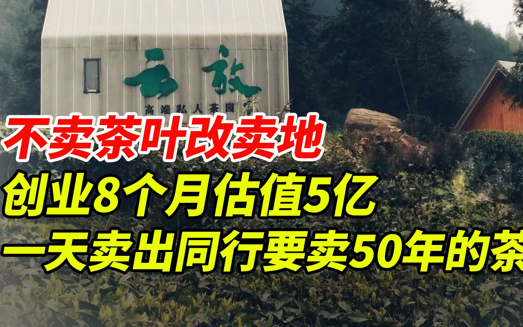 不卖茶叶改卖地,创业8个月估值5亿,一天卖出同行要卖50年的茶!咋做的呢?哔哩哔哩bilibili