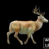 全息动物裸眼3D冰屏LED背景视频VJ素材