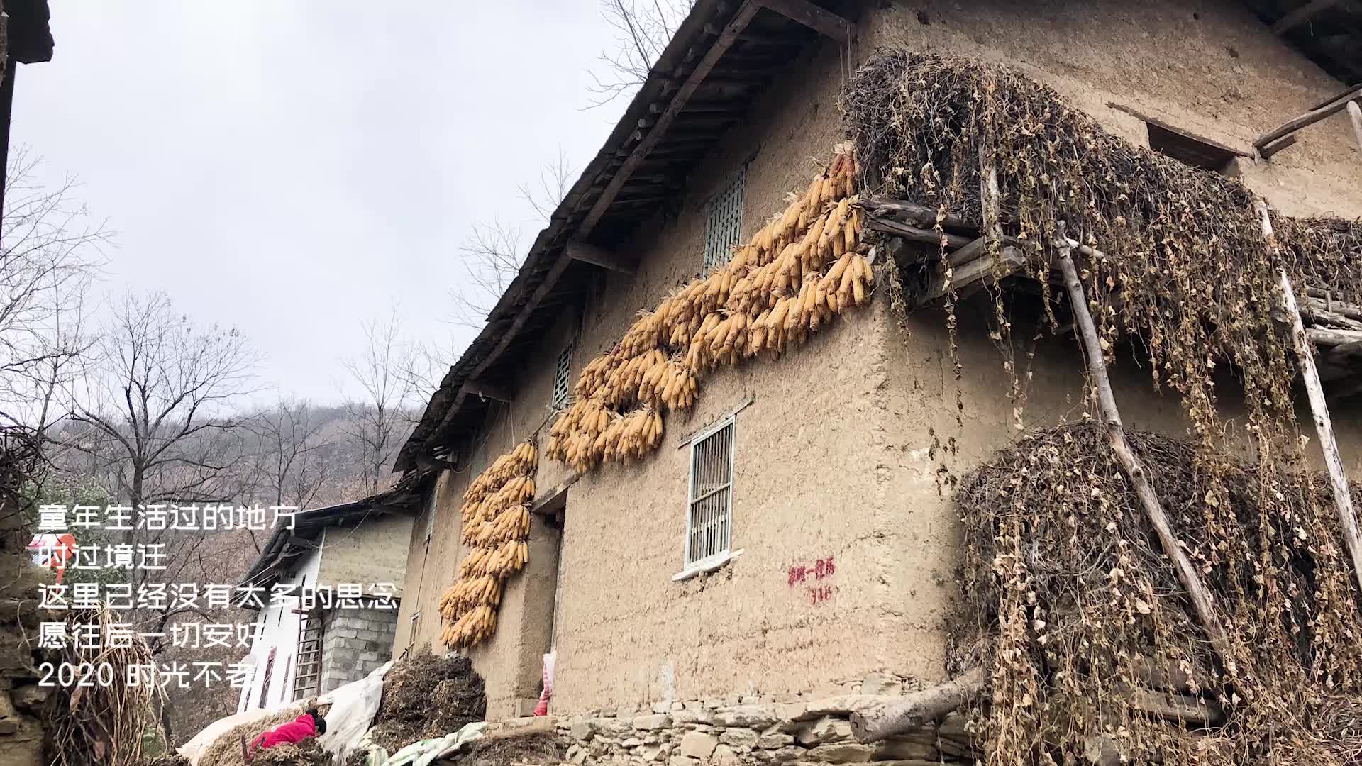 发生在千年古树的神奇家乡的老树 湖北十堰市郧西县哔哩哔哩bilibili