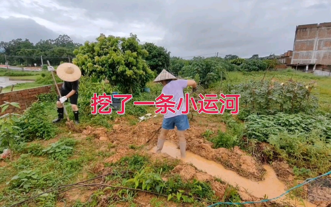 [图]百草园改造记（二）：翻了几块菜地，挖了一条小运河