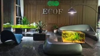 Download Video: 世界首家密封生态箱ECORIUM展厅—ECOF开业