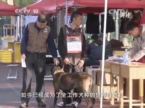 《讲述》丨打造中国最具人文精神的社会类纪录片 | CCTV科教 | 2015(Part 1)哔哩哔哩bilibili