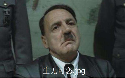 fate 元首的愤怒