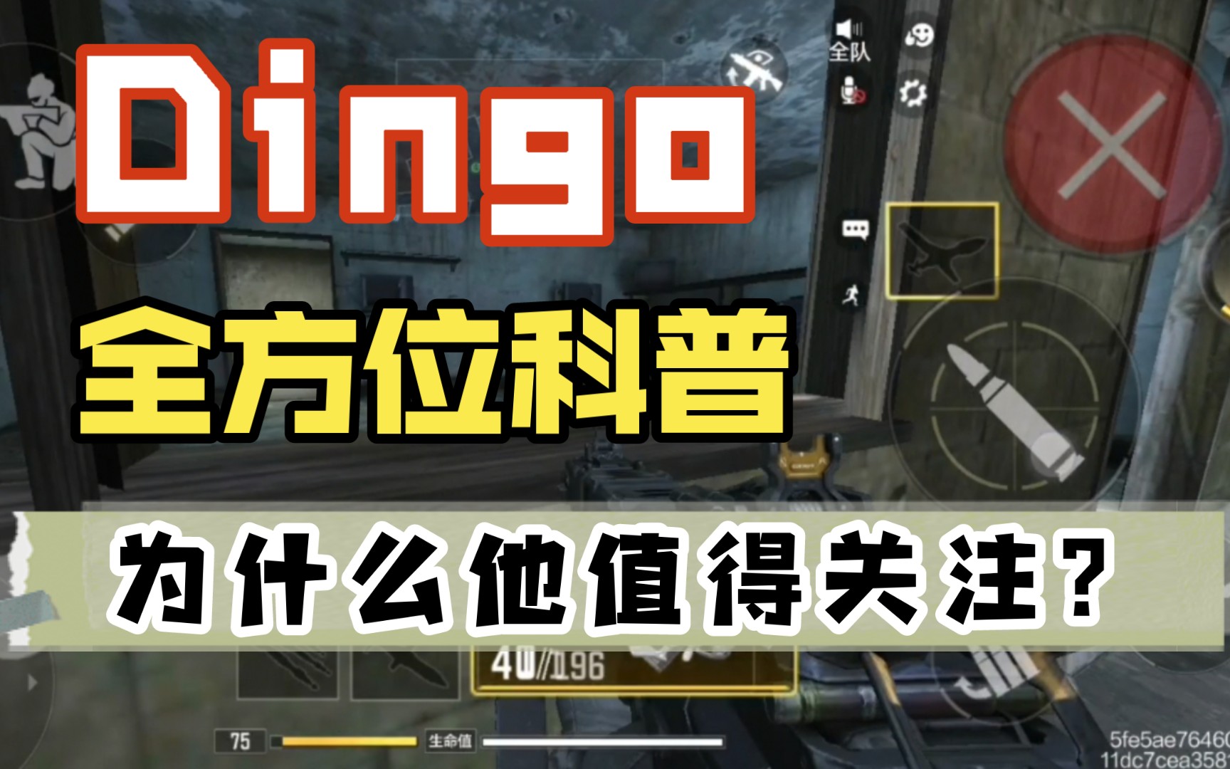 为什么dingo值得所有人关注?Dingo全方位科普手机游戏热门视频