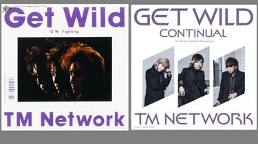 TM NETWORK/ Get Wild Continual 完全生産限定盤 【アナログレコード】