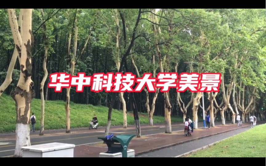 实拍湖北武汉华中科技大学校园美景,献给高考填志愿考研择校的你哔哩哔哩bilibili