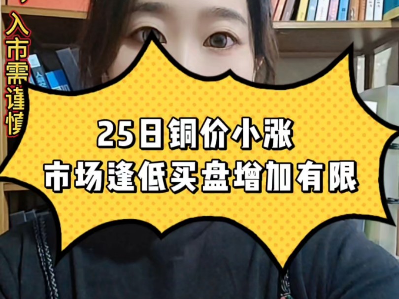 25日铜价小涨 市场逢低买盘增加有限#期货#财经#沪铜哔哩哔哩bilibili