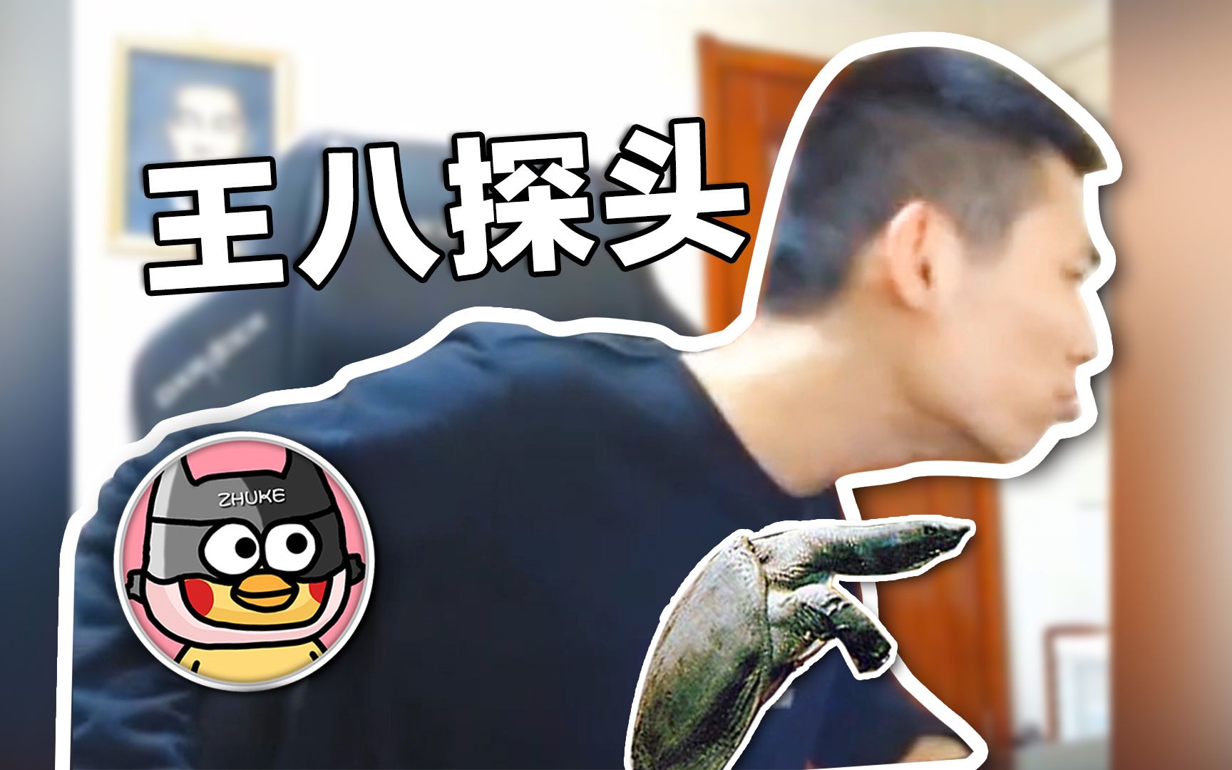 【旭旭宝宝】宝哥,活泼起来!