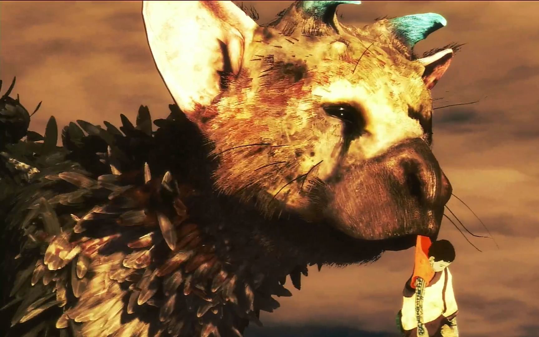 trico单机游戏热门视频