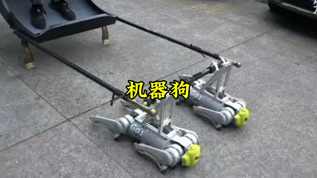 东大机器狗vs西大电子狗