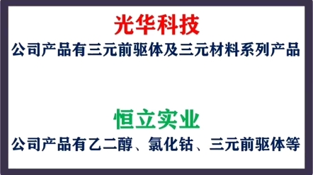 锂电池最核心材料,三元前驱前驱体,由这五家企业垄断哔哩哔哩bilibili