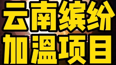 云南缤纷园艺宜良场,飞龙生物质锅炉安装完毕,开机调试现场.哔哩哔哩bilibili